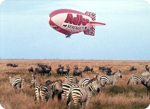Gefa-Flug: Serengeti will not die